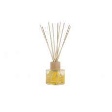 Arthouse Unlimited Reed Diffuser Cactus