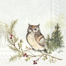 Napkins Woodland Owl