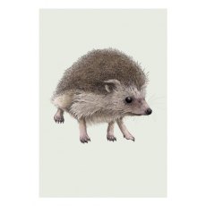 Ben Rothery Hedgehog Greeting Card