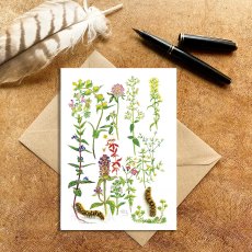 Wildlife by Mouse May Wildflowers Card