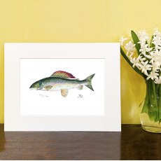 Wildlife by Mouse Grayling Print