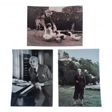 Clough Williams-Ellis Portrait Postcard