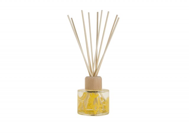 Arthouse Unlimited Arthouse Unlimited Reed Diffuser Cactus