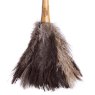 Living Nostalgia Ostrich Feather Hand Held Duster