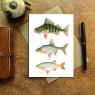 Wildlife by Mouse Perch, Rudd & Roach Card