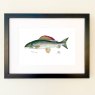 Wildlife by Mouse Grayling Print