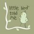 Little Bird Told Me