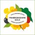 Pembrokeshire Gold