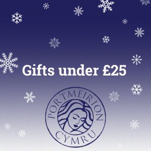 Gifts under £25