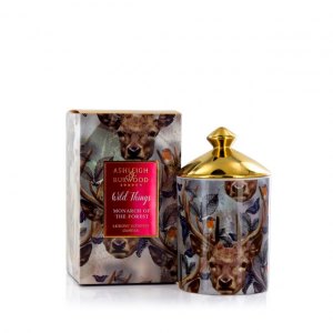 Candles & Home Fragrances