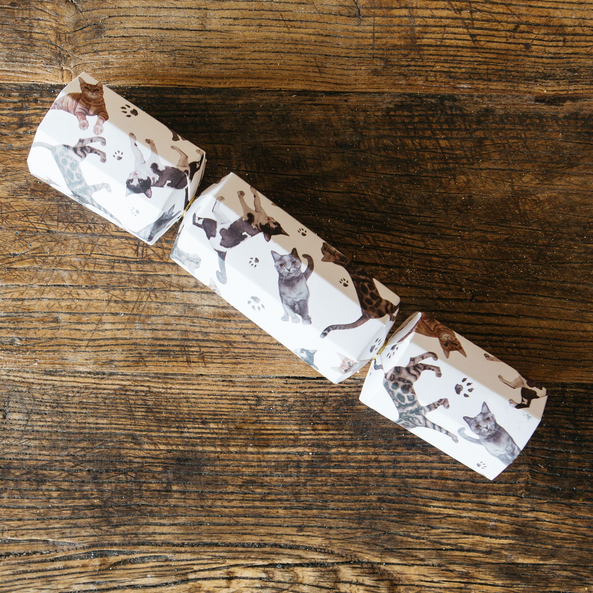 Cat Festive Cracker Buy Online Here Portmeirion Online