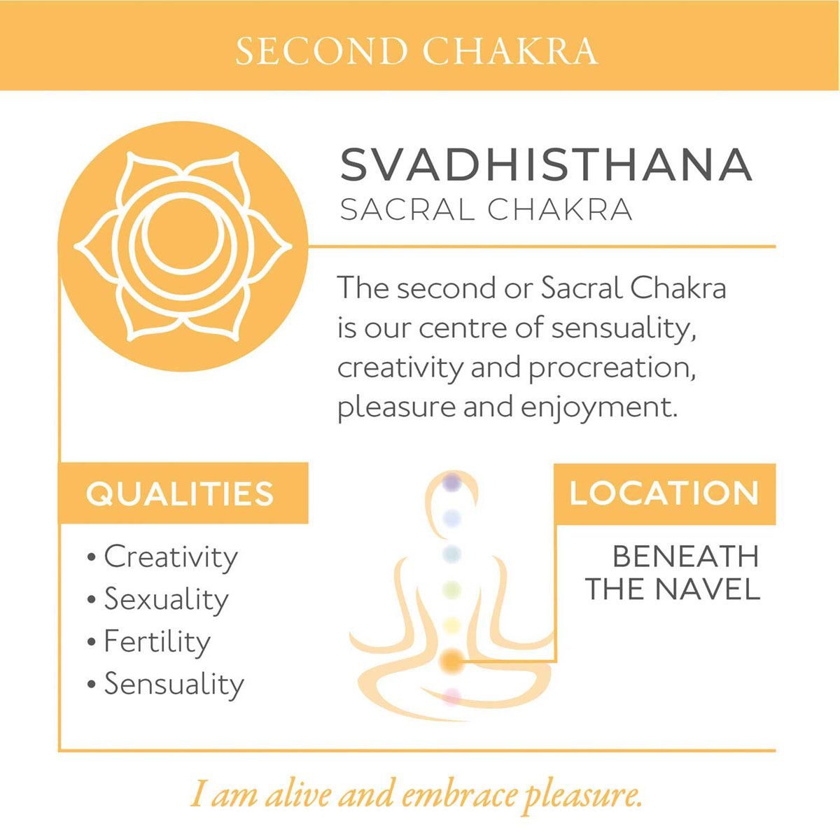 Sophie Conran Energies Pink Pepper & Neroli Ceramic Reed Diffuser Bu