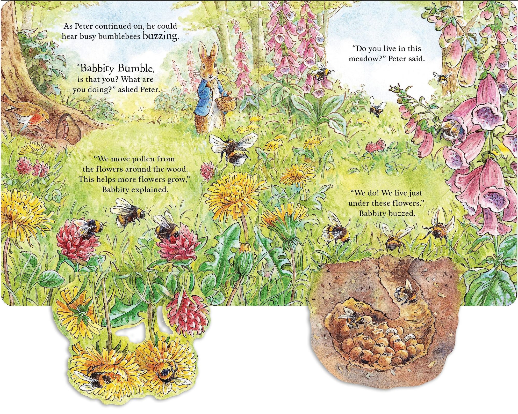 Peter Rabbit - Forest Homes A Peep Inside Tale Board Book |Portmeirion ...