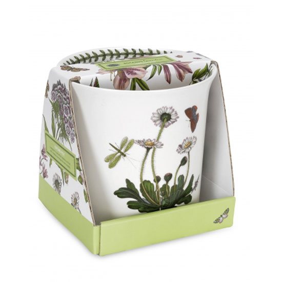 Portmeirion Botanic Garden Gift Packaged Orchid Pot Buy Online Here