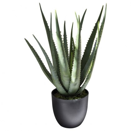 Homeware Gifts
