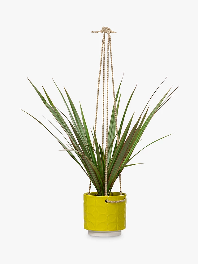 Artificial Flowers & Plants