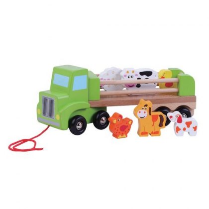 Pull & Push Along Toys