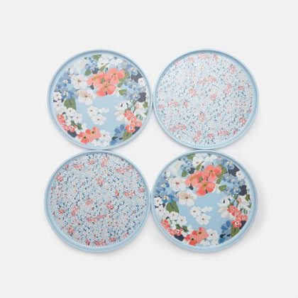 Picnic Plates