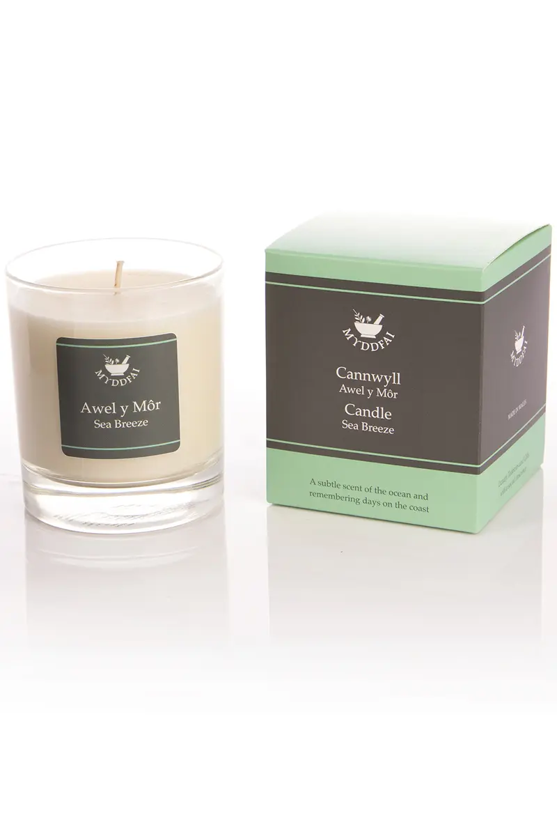 Candles & Home Fragrances