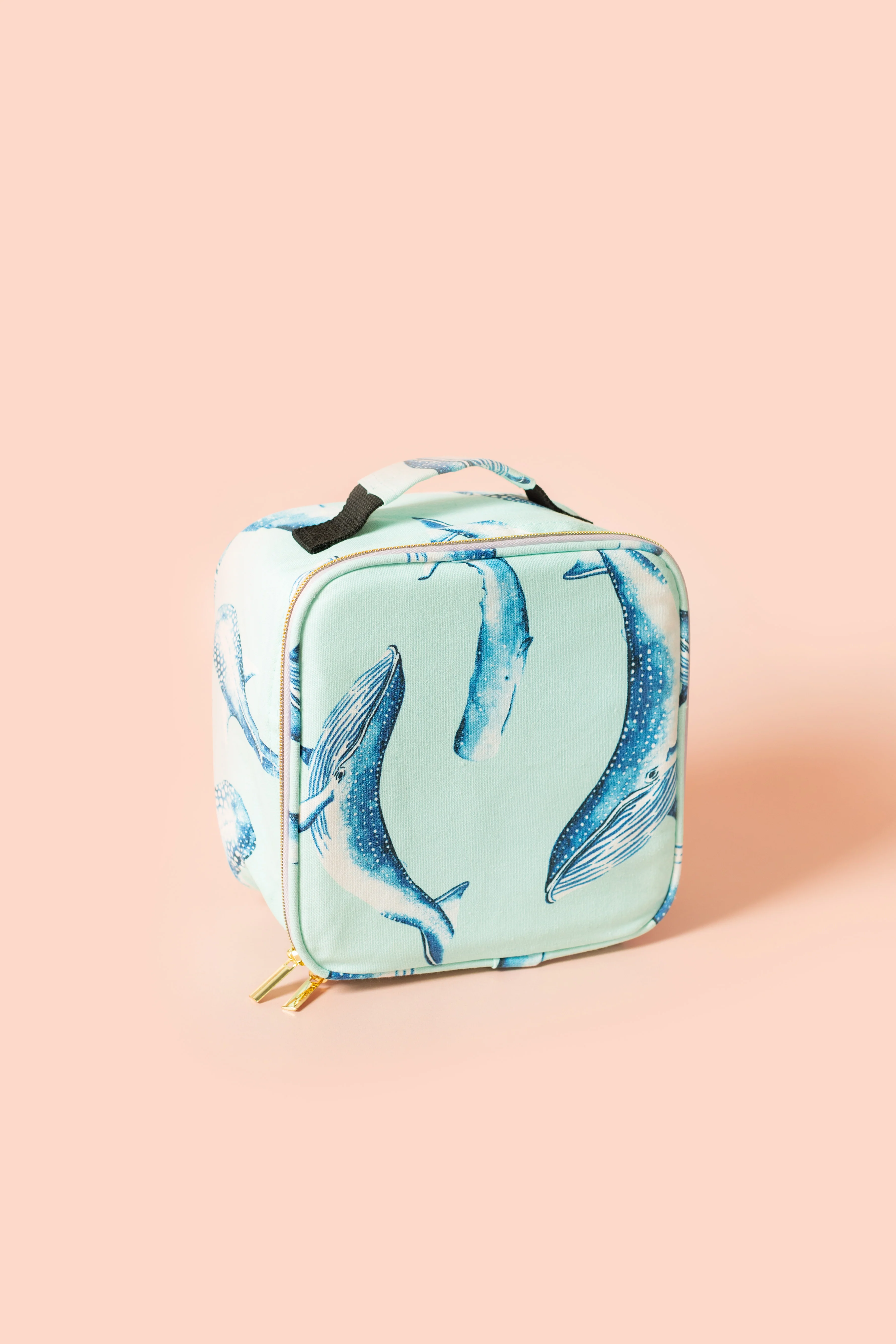 Containers / Lunch Boxes 