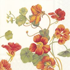 Napkins Nasturtium