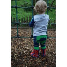 Stegosaurus Leggings 2-3 Years