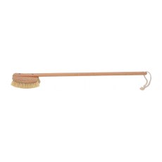 Bath/Foot Brush