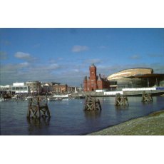 Cardiff Bay Magnet