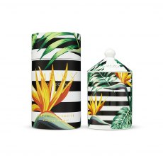 Birds Of Paradise Candle 320g