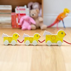 Wooden Duck Family