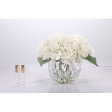 Hydrangeas White Clear