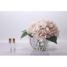 Hydrangeas Blush Clear