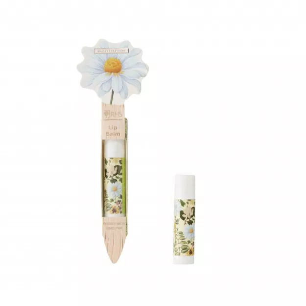 RHS Daisy Garland Lip Balm in Display Tray