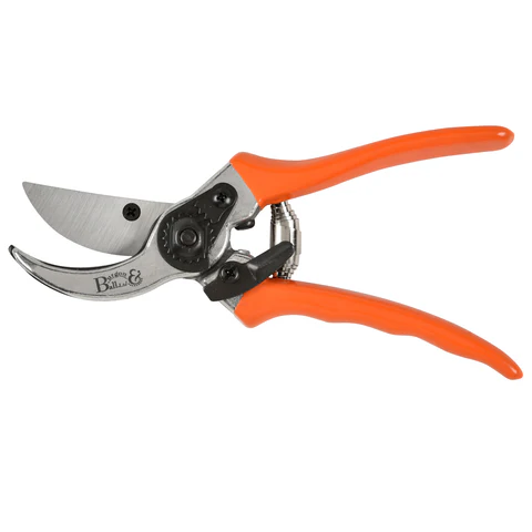 Burgon & Ball x RHS Professional Bypass Secateurs