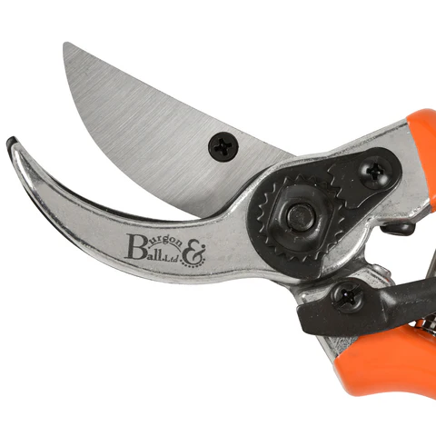 Burgon & Ball Bypass Secateurs - RHS Endorsed