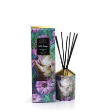 AShleigh & Burwood Wild Things Rhino Saw Us Violet & Amber Diffuser