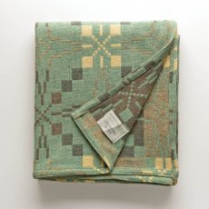 Vintage Star Mint Throw