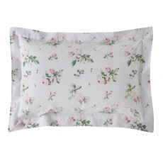 C & R Clementine Oxford Pillowcase Pair 50x75cm