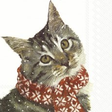 IHR Napkins Kitty