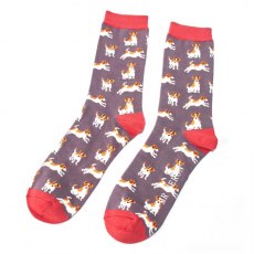 Jack Russell Socks Red