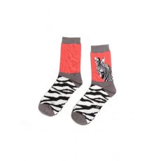 Wild Zebra Socks Orange