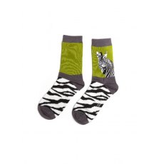 Wild Zebra Socks Orange