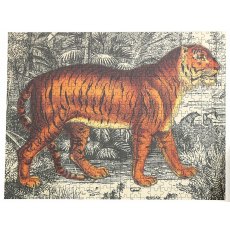 Safari Tiger Puzzle 500pc