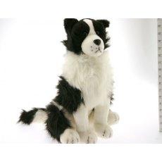 Border Collie Door Stop