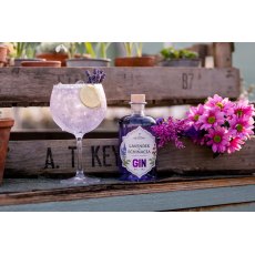 Lavender & Echinacea Gin 20cl