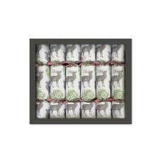 Stag & Mistletoe Crackers Box Of 6