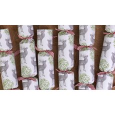 Stag & Mistletoe Crackers Box Of 6