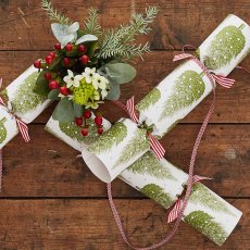 Thornback & Peel Christmas Tree Crackers