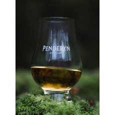 Penderyn Nosing Glass