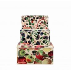 Emma Bridgewater Fruit Set Of 3 Square Cake Tins